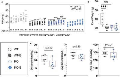 Exercise Increases Bone in SEIPIN Deficient Lipodystrophy, Despite Low Marrow Adiposity